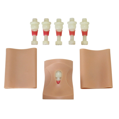 Тренажер коникотомии (педиатрический)