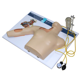 Тренажер катетеризации центральных вен