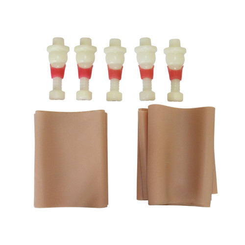 Тренажер коникотомии (педиатрический)