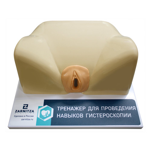 Тренажер для отработки навыков цистоскопии