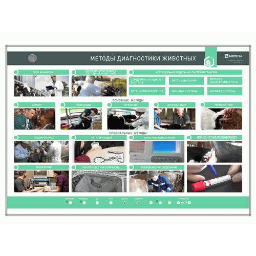 Электрифицированный стенд "Методы диагностики животных"