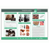 Электрифицированный стенд «Туберкулез»