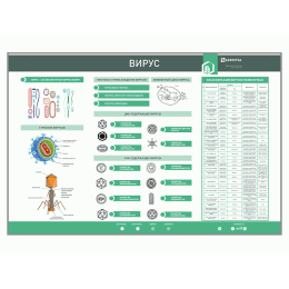 Электрифицированный стенд «Вирус»