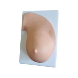 Тренажер для отработки навыков ручного сцеживания молока