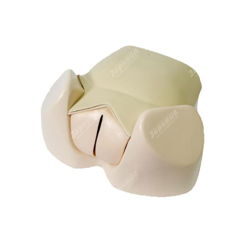 Акушерский тренажер для отработки навыков по родовспоможению и демонстрации биомеханизма родов