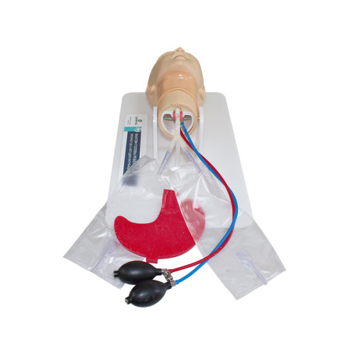 Фантом головы ребенка (возраст до 1 года) для интубации трахеи