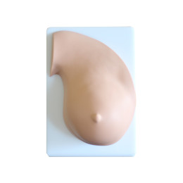 Тренажер для отработки навыков ручного сцеживания молока