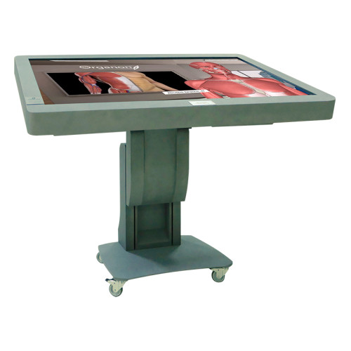 Виртуальный учебный комплекс "Анатомический атлас VR"