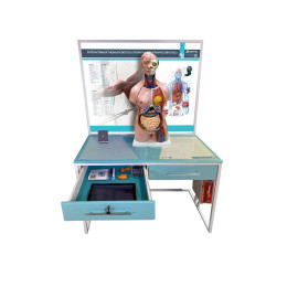 Трехмерный анатомический атлас. Приказ 804 Минпросвещения РФ.