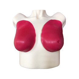 Расширенный тренажер для обследования молочных желез