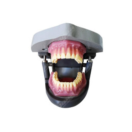 Стоматологический тренажер "ТС-Г.01"