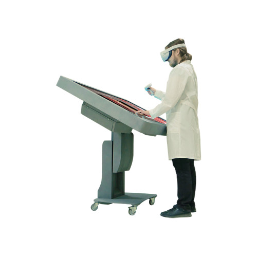 Виртуальный учебный комплекс "Анатомический атлас VR"