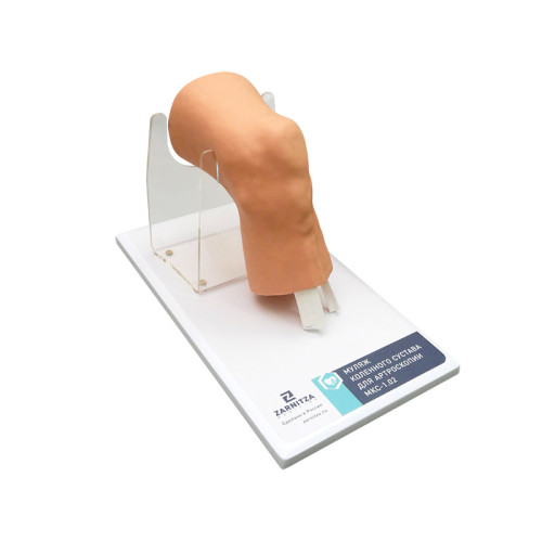 Муляж коленного сустава для артроскопии МКС-1.02