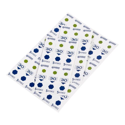 Индикатор этиленоксидной стерилизации химический одноразовый многорежимный класса 5 «ВИНАР-ЭО-5Класс», 500