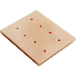 Модуль для отработки навыков внутрикожных инъекций