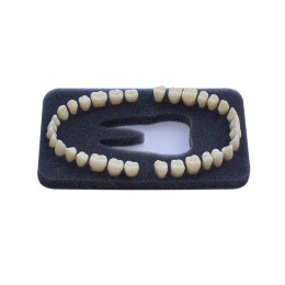 Комплект из 32 модельных зубов З-32Э