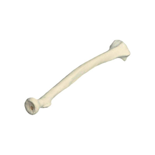 Композитная модель лопатки