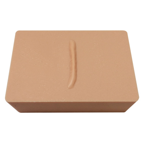 Разрабатываем и производим Модель участка кожи с рубцом