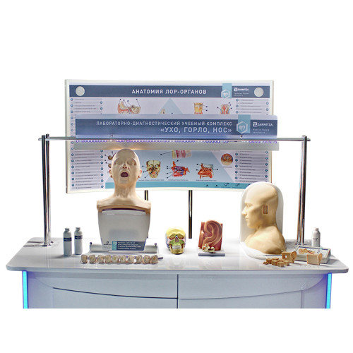 Лабораторно-диагностический учебный комплекс "Ухо, горло, нос"
