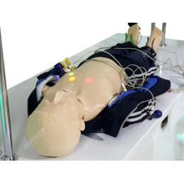 Лабораторно-диагностический учебный комплекс "Сердечно-сосудистая система"