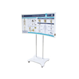 Лабораторно-диагностический учебный комплекс "Скелет человека"