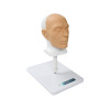 Фантом головы для отработки навыков косметологии 