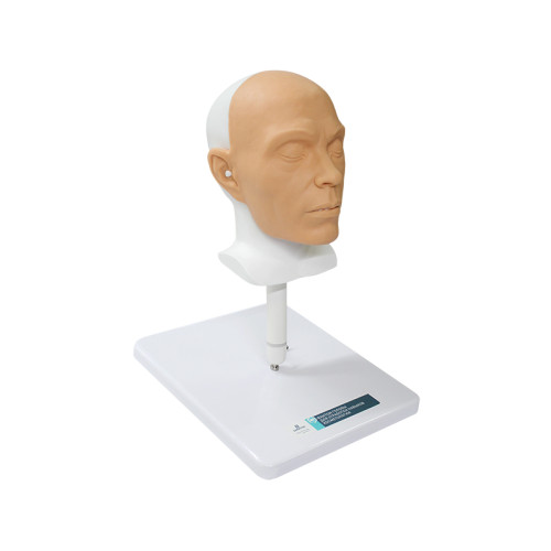 Фантом головы для отработки навыков косметологии 