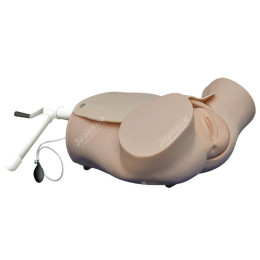 Тренажер роженицы с плодом (нижняя часть торса)