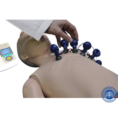 Многофункциональный манекен для регистрации параметров ЭКГ (подросток)