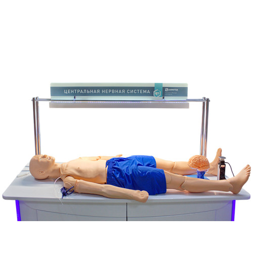 Лабораторно-диагностический учебный комплекс "Центральная нервная система"