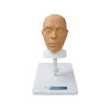 Фантом головы для отработки навыков косметологии 