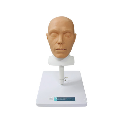 Фантом головы для отработки навыков косметологии 