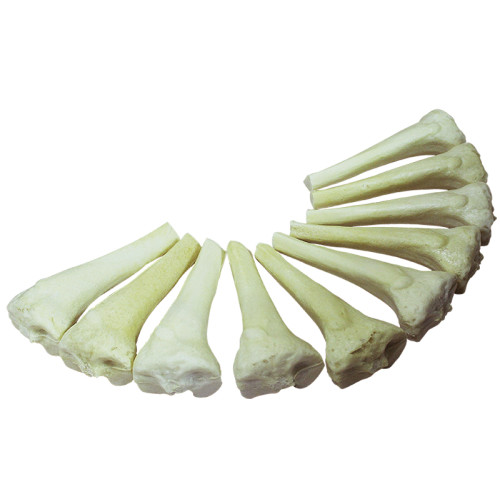 Комплект расходных материалов для тренажера внутрикостных инъекций (артикул МУ0014)