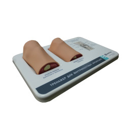 Комбинированный тренажер для внутрикостных инъекций