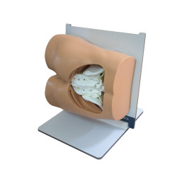 Тренажер для отработки навыков костной биопсии