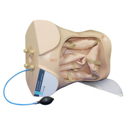 Тренажер колоноскопии, полипэктомии