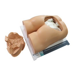 Тренажер для отработки навыков костной биопсии