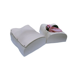 Лабораторно-диагностический учебный комплекс "Хирургический доступ к органам брюшной полости"