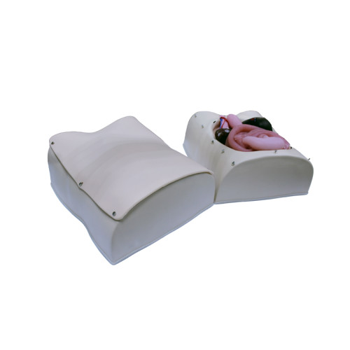 Лабораторно-диагностический учебный комплекс "Хирургический доступ к органам брюшной полости"