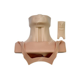 Тренажер коникотомии