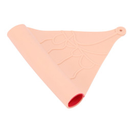 Фрагмент кишечника с сектором брыжейки