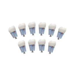 Комплект из 10 модельных зубов одного номера З-32-1.10Э