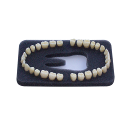 Комплект из 32 модельных зубов "З-32О"