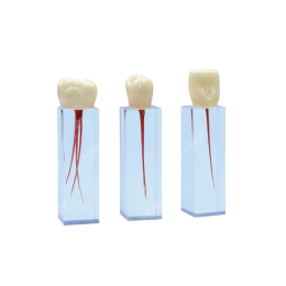 Комплект эндоблоков ЭБ-1.03